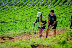 BIB: 
                            <button type="button" onclick="openModal(19163550)" class="btn btn-primary btn-sm float-right btn-popup" data-toggle="modal" data-target=".modal-high-quality">
                        <i class="fas fa-shopping-cart"></i> Add to Cart
                    </button>
                                            <button type="button" onclick="isThisMe(19163550, true)" class="btn btn-success btn-sm float-right btn-popup btn-isme hidden" data-toggle="tooltip" data-placement="bottom" title="นี่คือรูปของคุณใช่ไหม คลิกที่นี่เพื่อเอาเข้าอัลบั้ม">
                        <i class="fas fa-plus"></i> Add to album
                    </button>
                    <button type="button" onclick="isThisMe(19163550, false)" class="btn btn-warning btn-sm float-right btn-popup btn-isnotme hidden">
                        <i class="fas fa-ban"></i> Remove from album
                    </button>